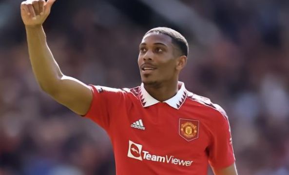 馬丁內利 馬丁內利